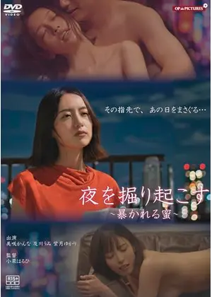 夜を掘り起こす　暴かれる蜜