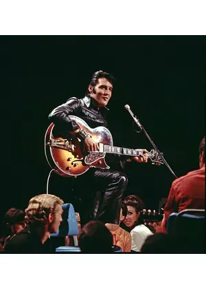EPiC: Elvis Presley in Concert（原題）