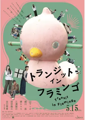 トランジット・イン・フラミンゴ