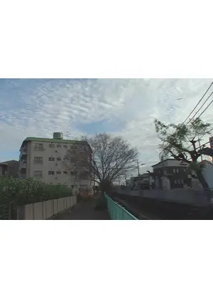 伊丹 2009 年初夏―晩秋