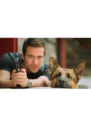 レックス～ウィーン警察シェパード犬刑事～ シーズン8