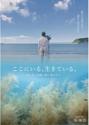 ここにいる、生きている。　〜消えゆく海藻の森に導かれて〜