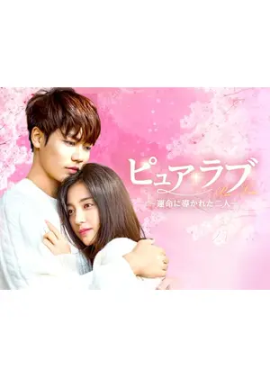 ピュア・ラブ ～運命に導かれた二人～