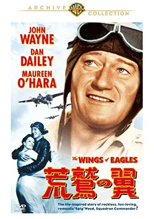 荒鷲の翼　DVD _.jpg