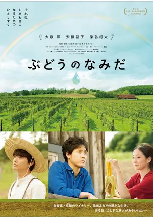 ぶどうのなみだ DVD 新品 Amazon.co.jp: ぶどうのなみだ【初回限定仕様】 [DVD] : 大泉洋
