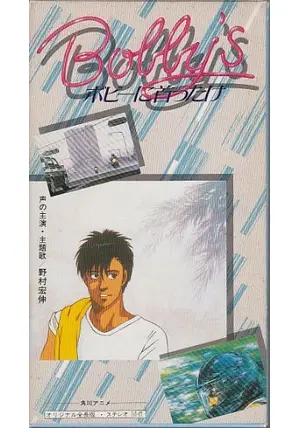 ボビーに首ったけ LD レーザーディスク アニメ レーザーディスク（LD
