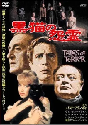 呪殺霊 黒猫の祟り [DVD] Amazon.co.jp: 呪殺霊 黒猫の祟り [DVD] : 中原果南, 本宮泰風