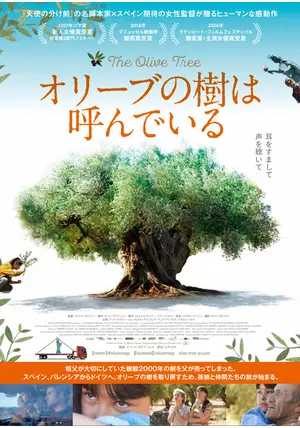 Lemon&Olive Happiness】レモンの木 オリーブ シーグラス Lemon&Olive