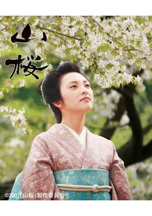 山桜★希少美品★レアB2映画ポスター★藤沢周平★田中麗奈/東山紀之★ 時代劇映画「山桜」 - こうきちの小屋 はるのこうきち雑記ノート
