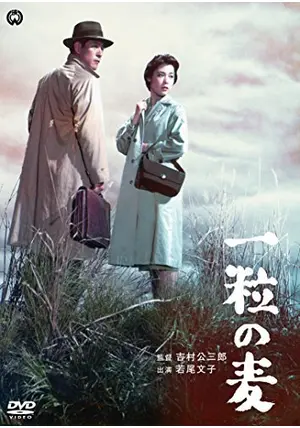 ひとつぶの麦のように Amazon.co.jp: ひとつぶの麦のように(前編) : マリールイズ・F