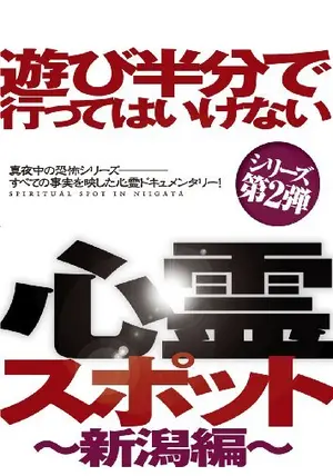 遊び半分で行っては行けない心霊スポット〜新潟編〜 遊び半分で行っては行けない心霊スポット〜新潟編〜