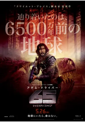 ④DVD レンタル落ちなど洋画 65本まとめ売り 65／シックスティ・ファイブ - 映画情報・レビュー・評価