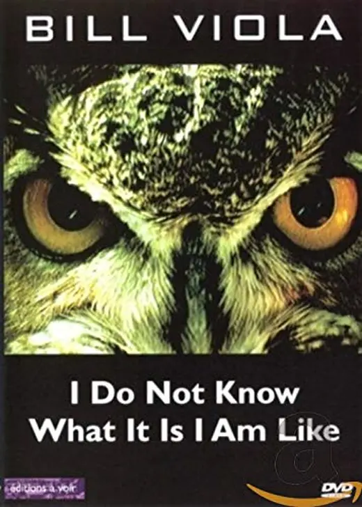 I Do Not Know What It Is I Am Like（原題）