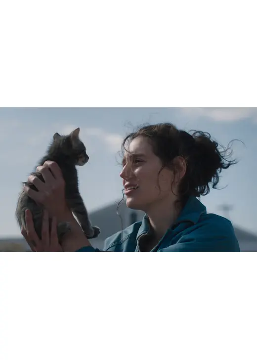 ソーリー、ベイビー