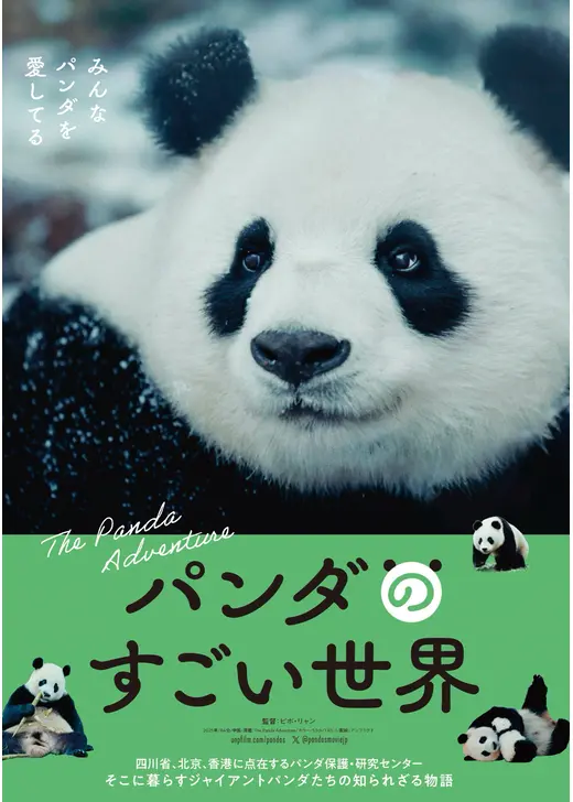 パンダのすごい世界
