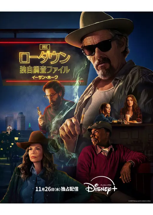 ローダウン 独自調査ファイル