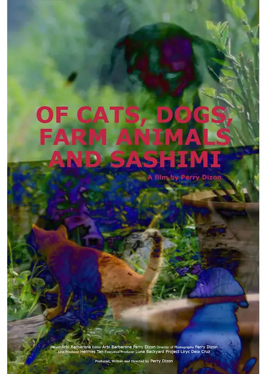 猫、犬、動物、そしてサシミのこと
