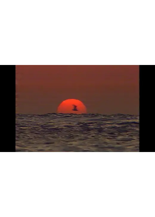 スウェーデン・テレビ放送に見るイスラエル・パレスチナ 1958-1989