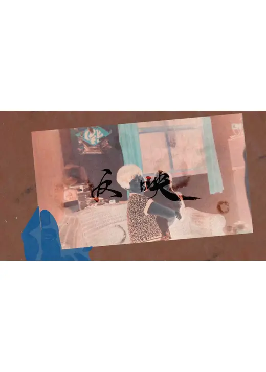 反映