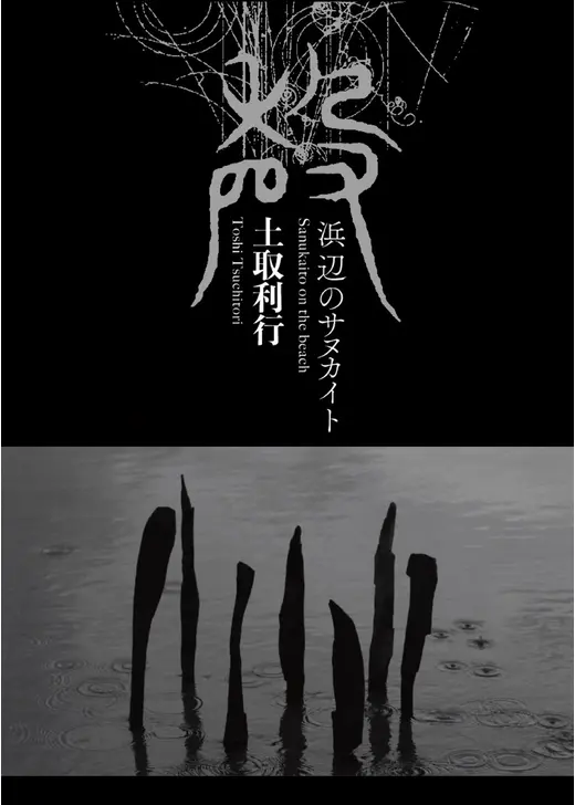 浜辺のサヌカイト