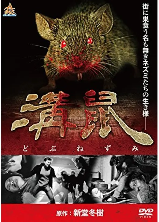 溝鼠