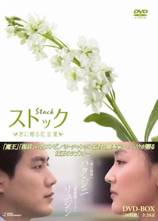 ストック -君に贈る花言葉-