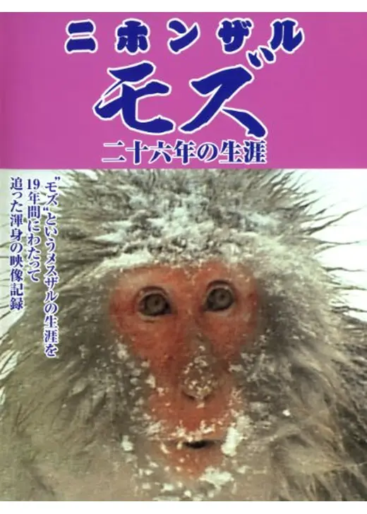 ニホンザル モズ 二十六年の生涯