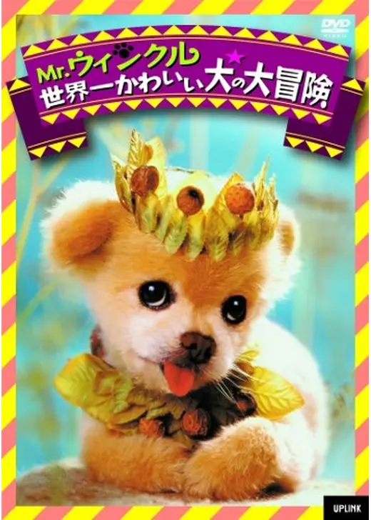 Mr.ウィンクル 世界一かわいい犬の大冒険