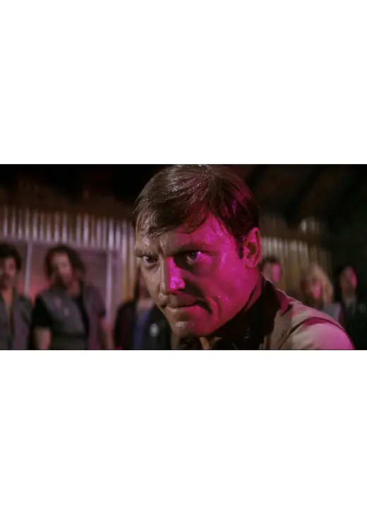 トゥインクル・トゥインクル・キラー・カーン