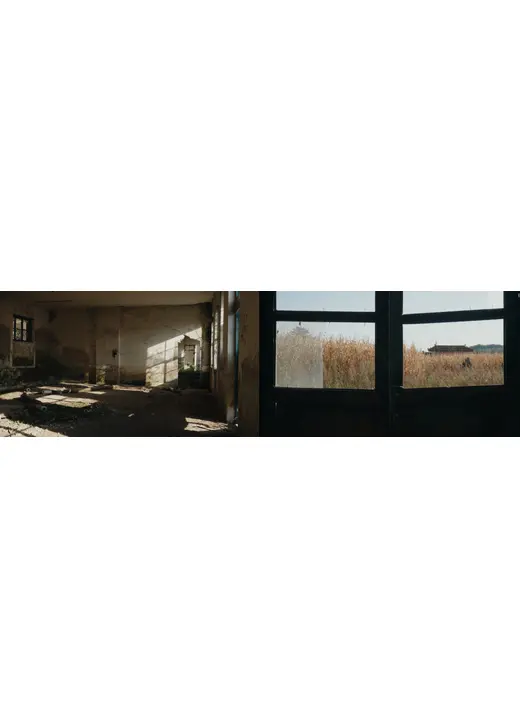 敵意ある⾵景
