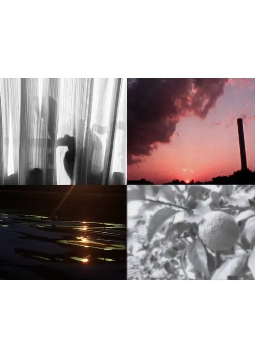 クロベニグンジョウシロレモン—8ミリ短編映画特集