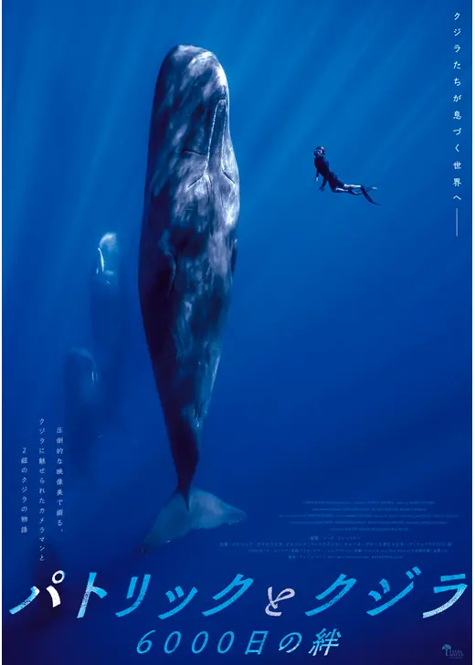 パトリックとクジラ  6000日の絆