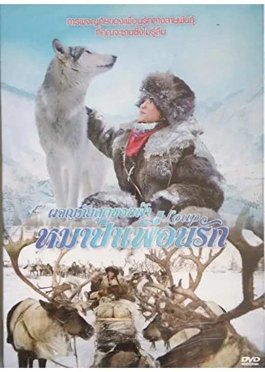 WOLF 狼