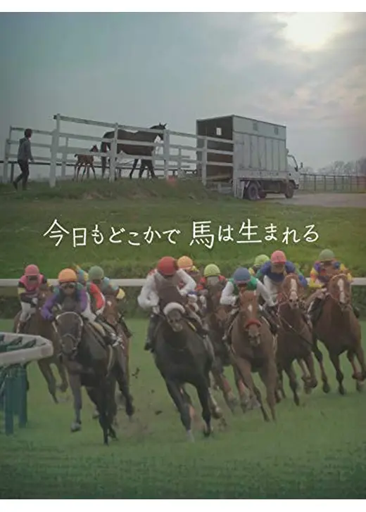 今日もどこかで馬は生まれる