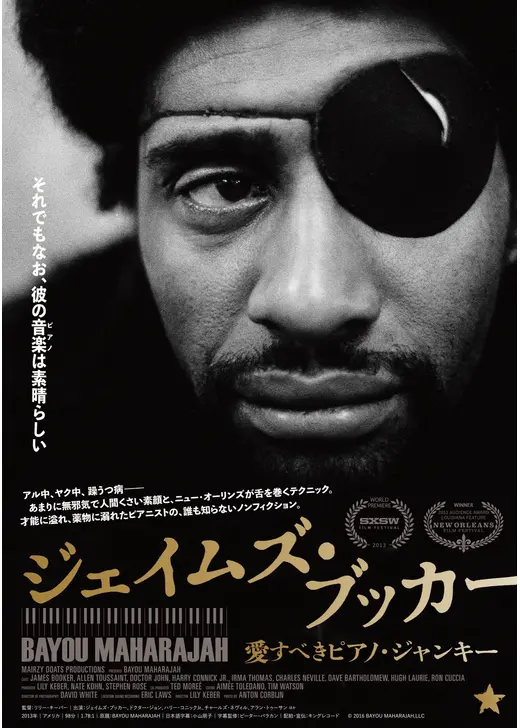 ジェイムズ・ブッカー 愛すべきピアノ・ジャンキー／ジェイムズ・ブッカー ニュー・オーリンズのピアノ王⼦