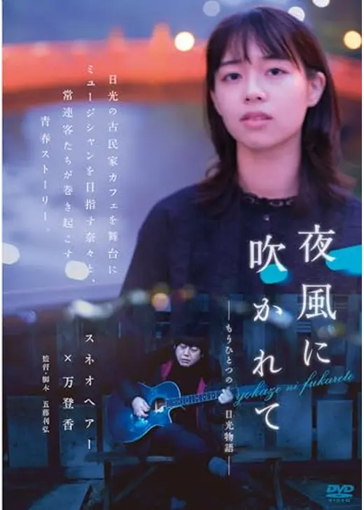 夜風に吹かれて　もうひとつの日光物語