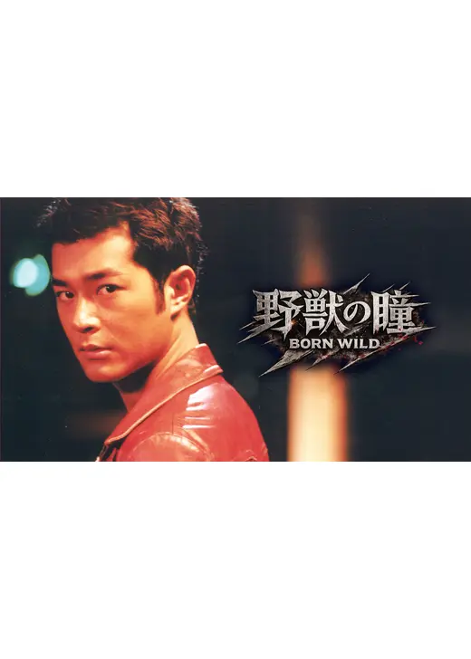 野獣の瞳 BORN WILD