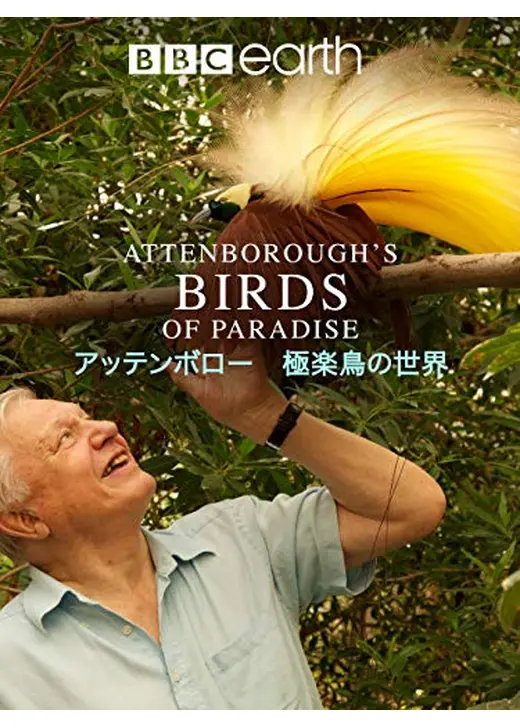 アッテンボロー 極楽鳥の世界