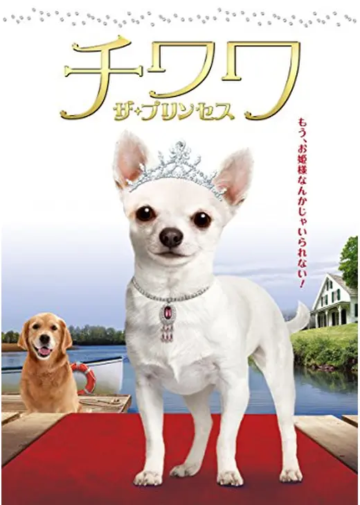チワワ ザ・プリンセス