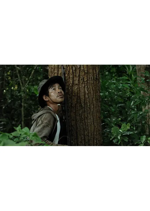 私たちは森の果実