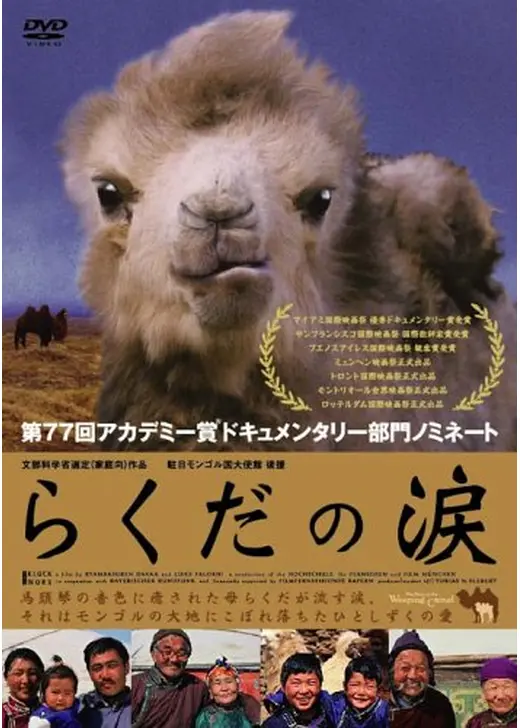 らくだの涙