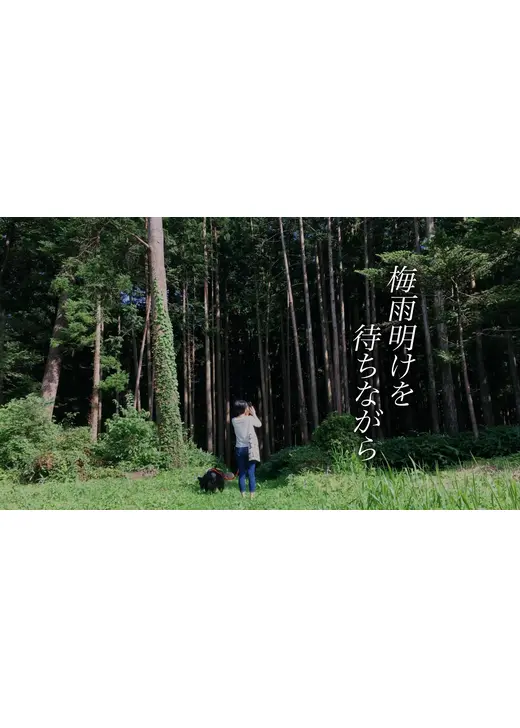 梅雨明けを待ちながら