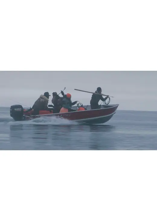 クジラと英雄