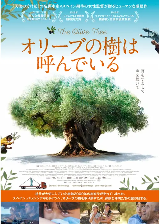 オリーブの樹は呼んでいる