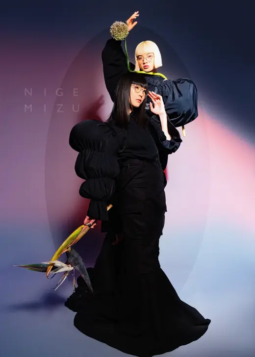 NIGEMIZU