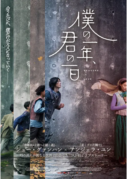 僕の一年、君の一日