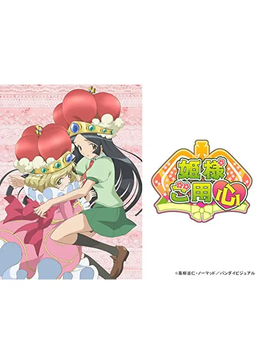 姫様ご用心