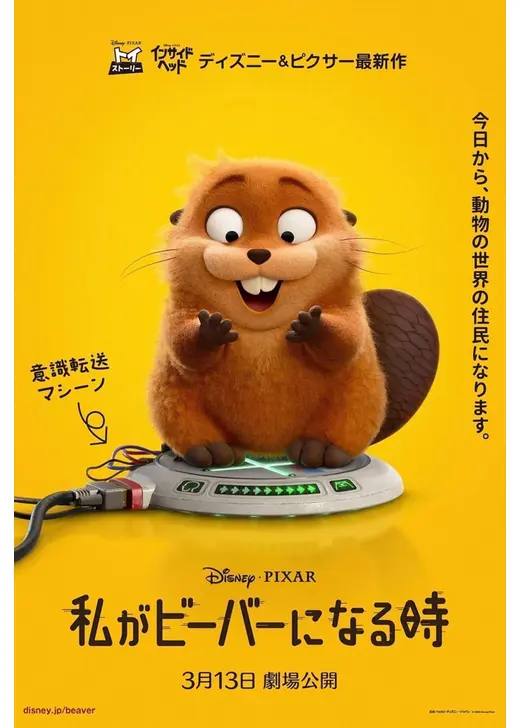 私がビーバーになる時