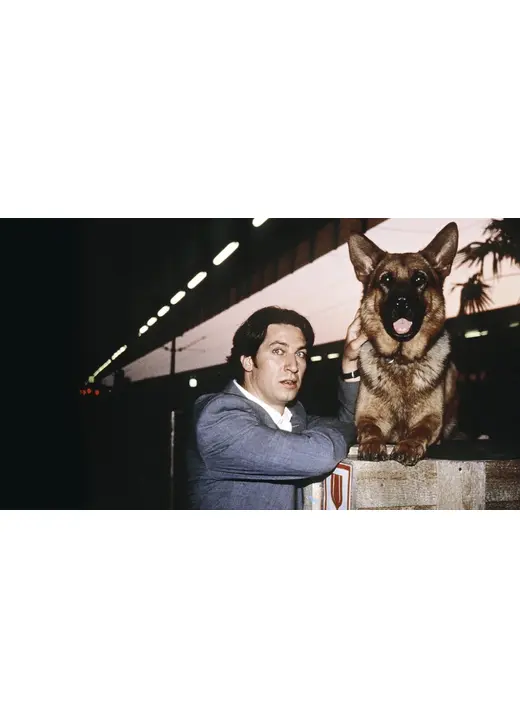 REX ～ウィーン警察シェパード犬刑事～