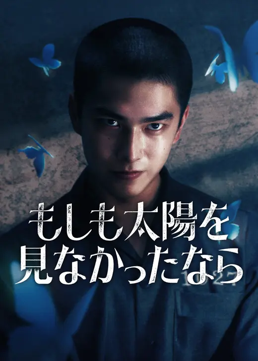 もしも太陽を見なかったなら